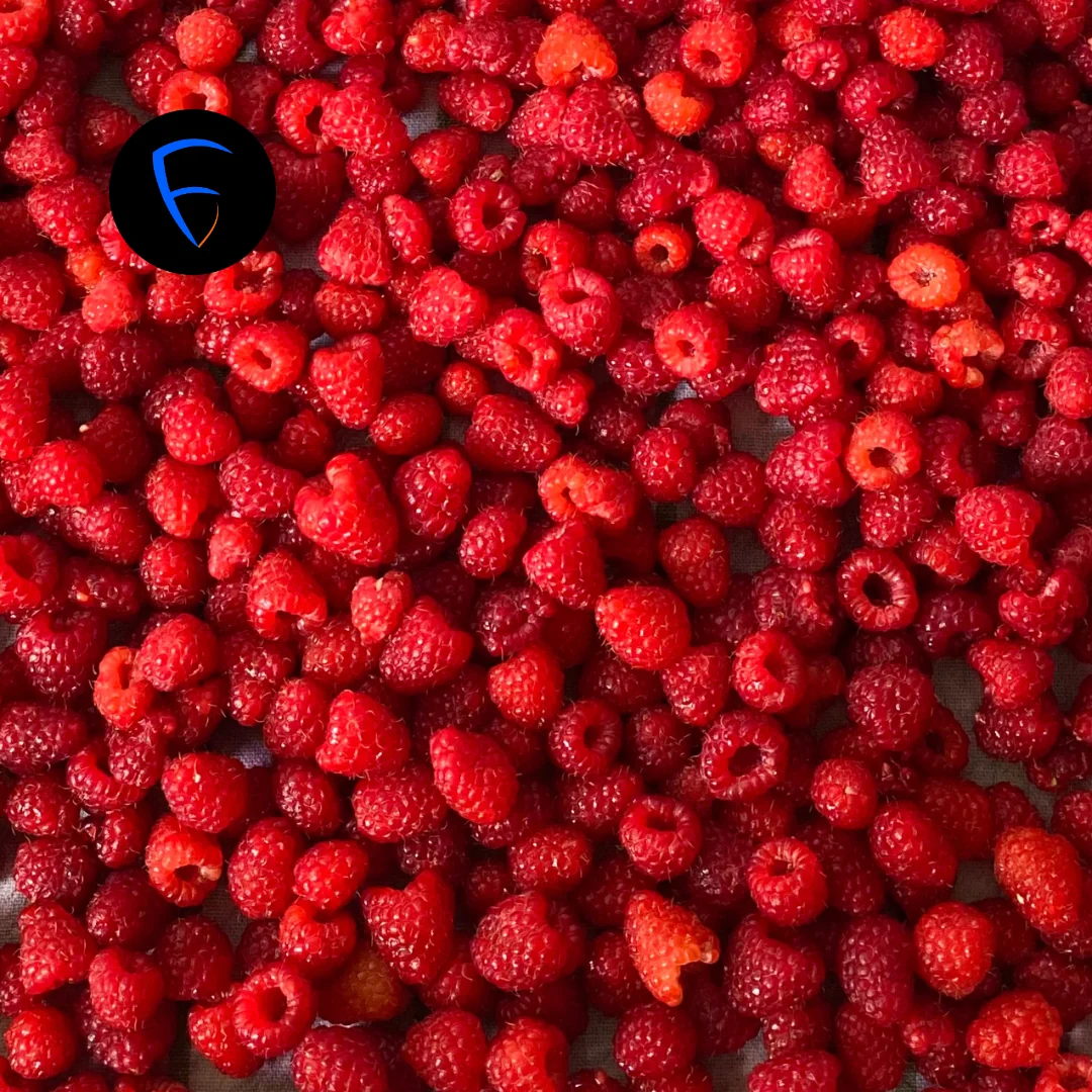 Himbeeren als Superfood – Ernährungsberatung Frankfurt (Oder) FitVIP.de
